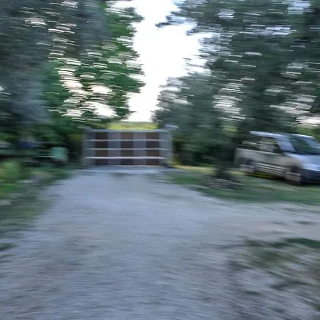Dei Transumanti