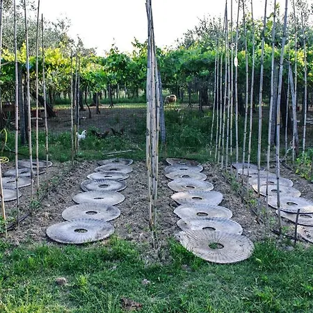 Dei Transumanti Ortona